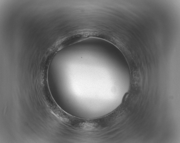 X0000078280255200611101141