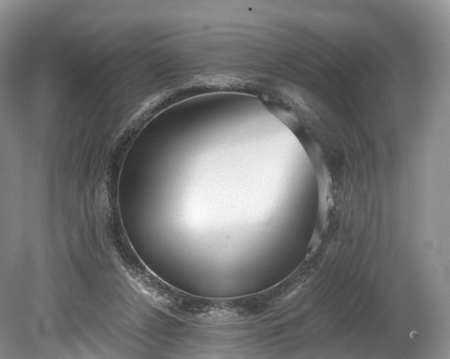 X0000078280256200611101141