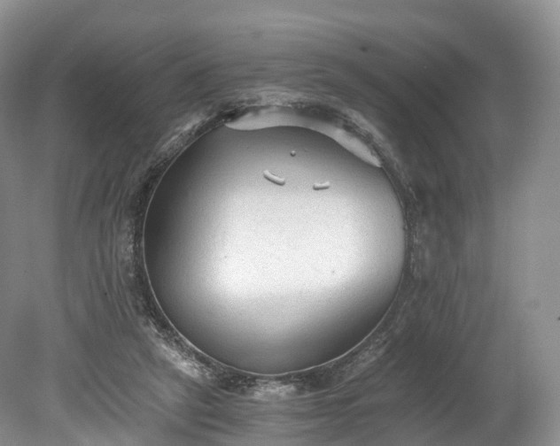 X0000078280257200611101141