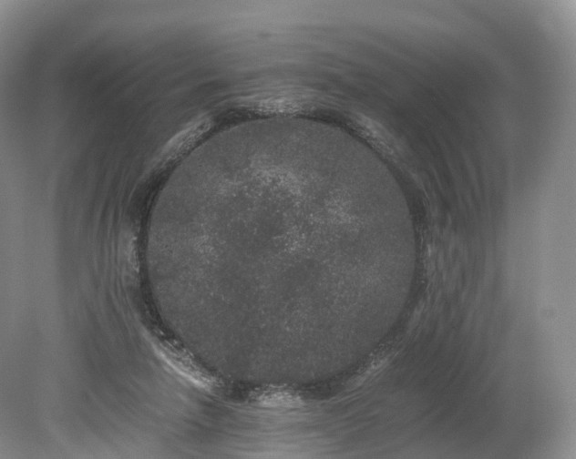 X0000078280258200611101141