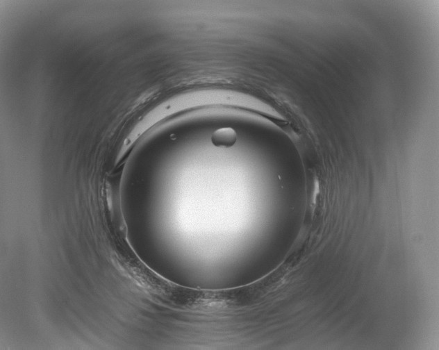 X0000078280260200611101141