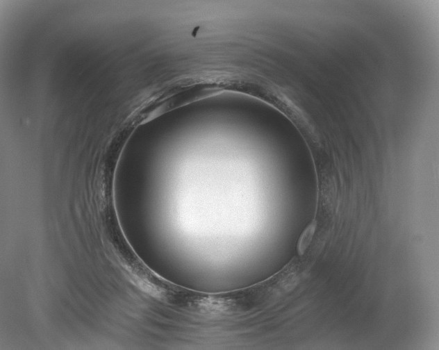 X0000078280261200611101141