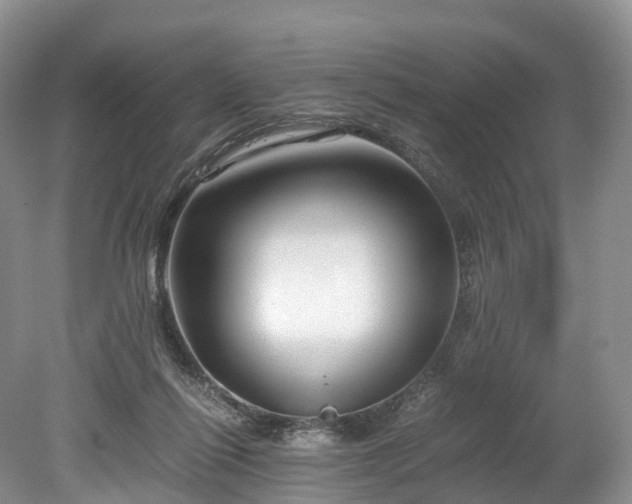 X0000078280262200611101141