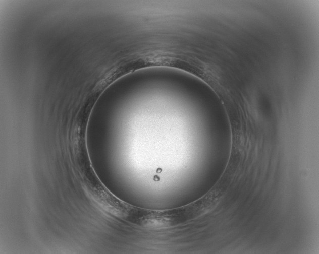 X0000078280263200611101141