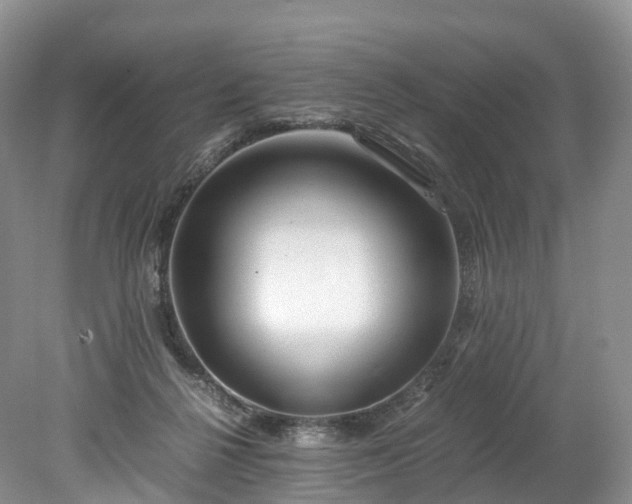 X0000078280264200611101141