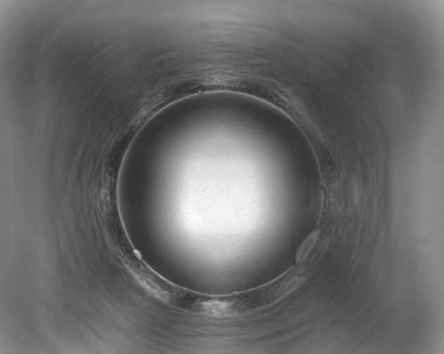 X0000078280265200611101141