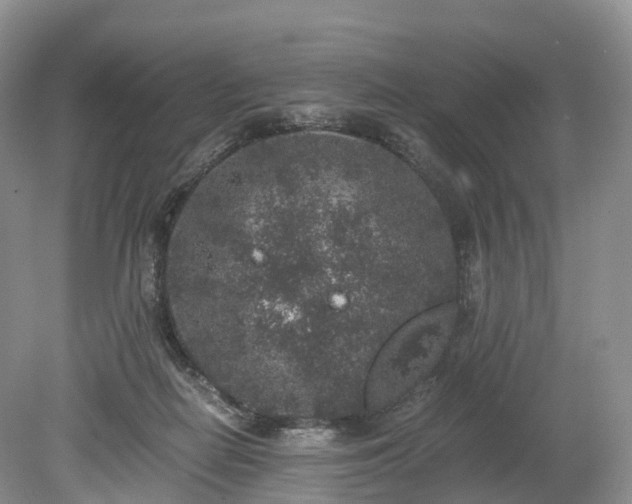 X0000078280266200611101141