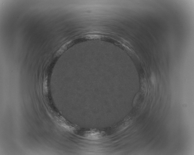 X0000078280267200611101141