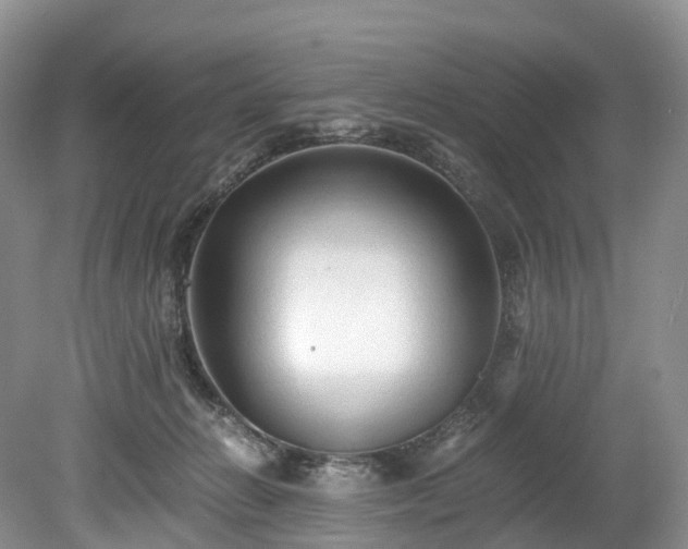 X0000078280270200611101141