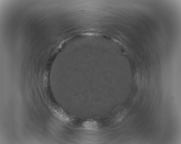 X0000078280271200611101141