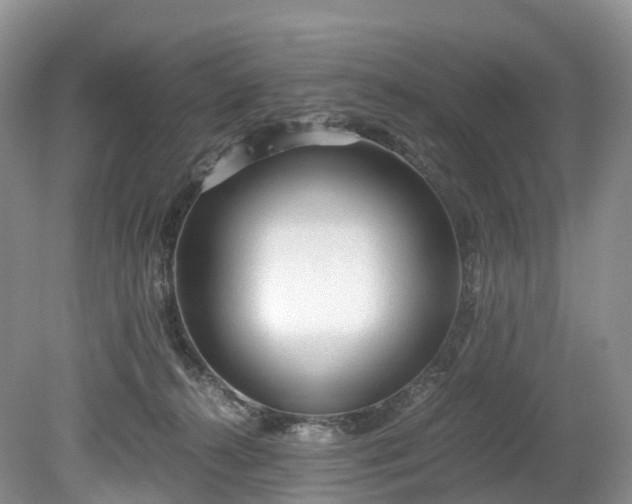 X0000078280272200611101141