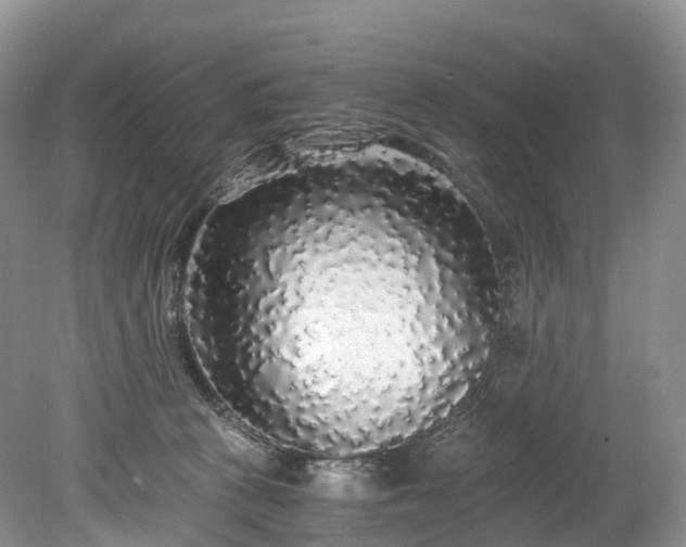 X0000078280273200611101141