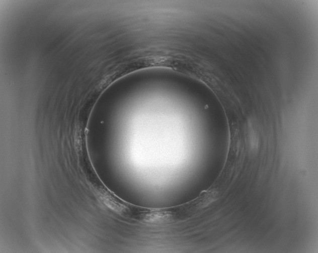 X0000078280274200611101141