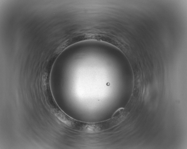 X0000078280275200611101141