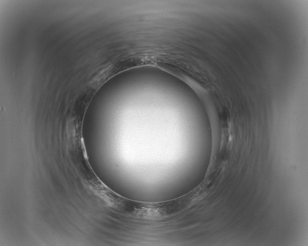 X0000078280276200611101141