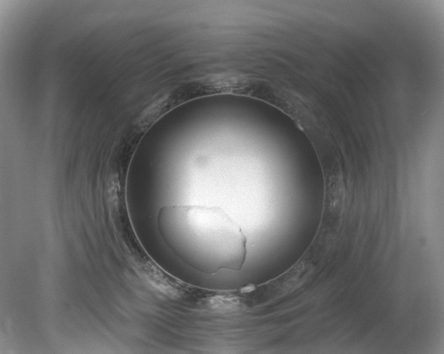 X0000078280279200611101141