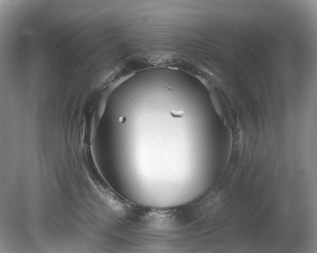 X0000078280280200611101141