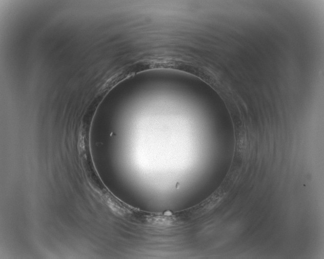 X0000078280282200611101141