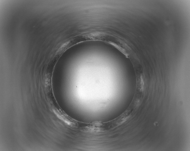 X0000078280284200611101141