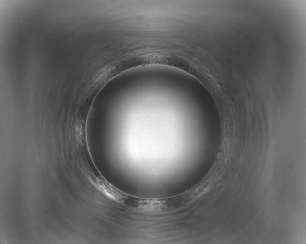 X0000078280288200611101141