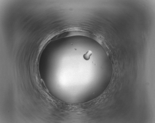 X0000078280289200611101141