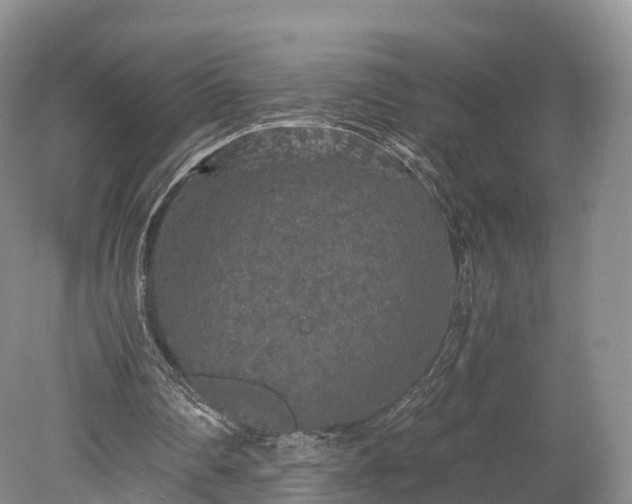 X0000078280290200611101141