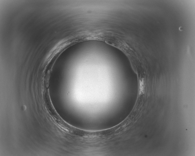 X0000078280291200611101141