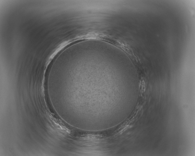 X0000078280292200611101141