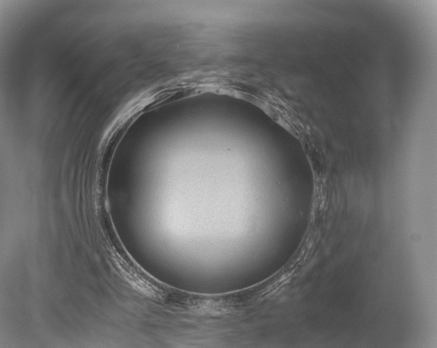 X0000078280293200611101141