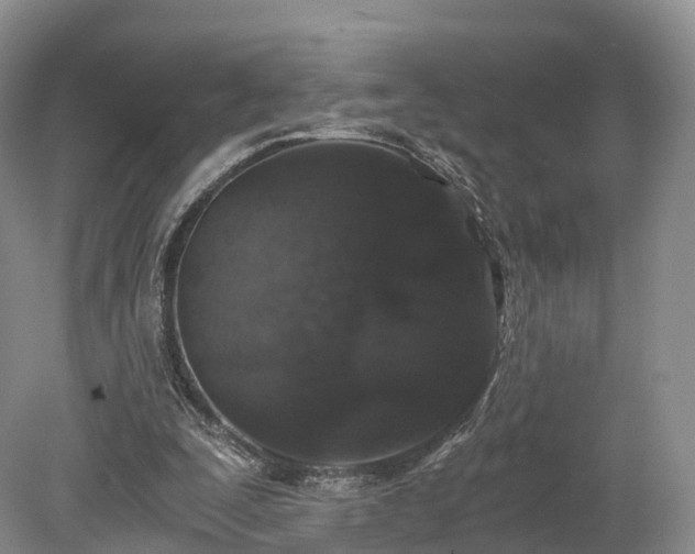 X0000078280295200611101140