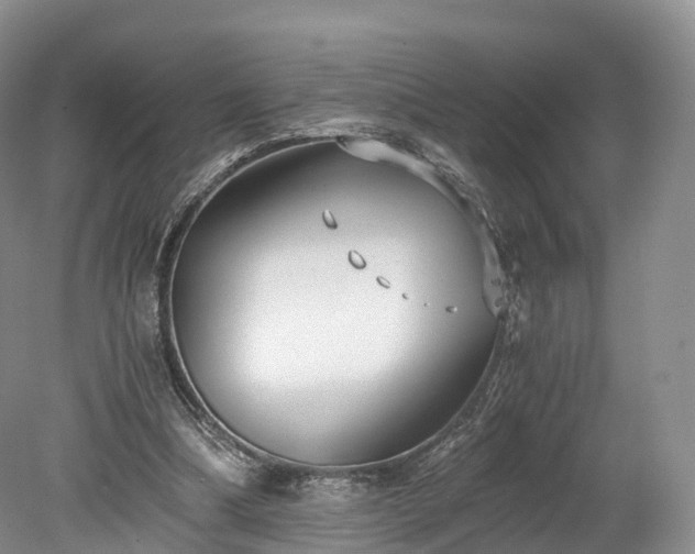 X0000078280298200611101140