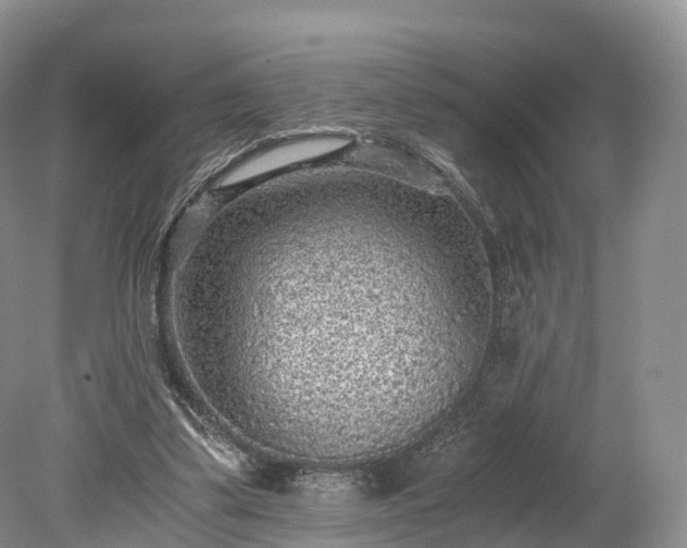 X0000078280299200611101140