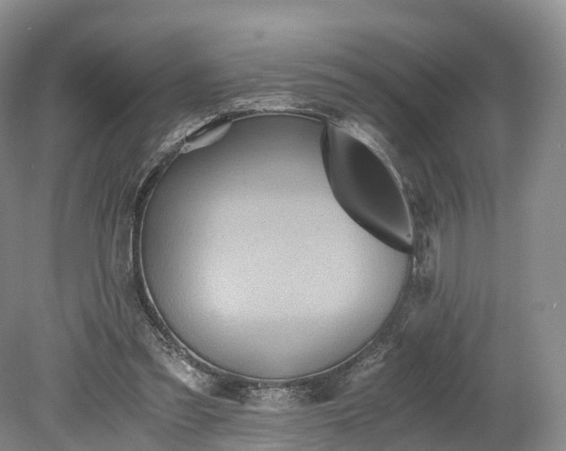 X0000078280301200611101140