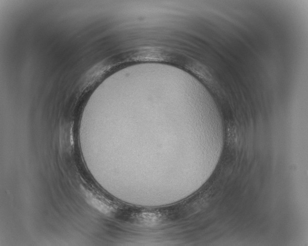 X0000078280302200611101140