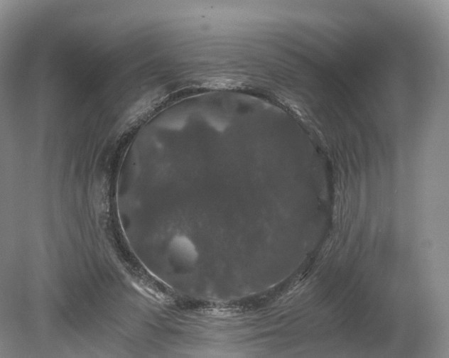 X0000078280303200611101140