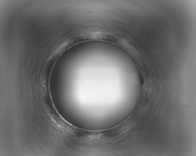 X0000078280306200611101140