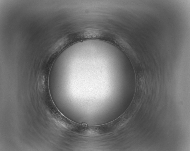 X0000078280308200611101140