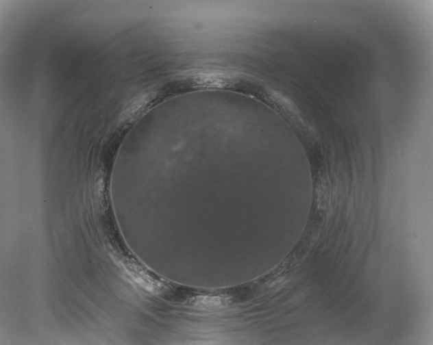 X0000078280314200611101140