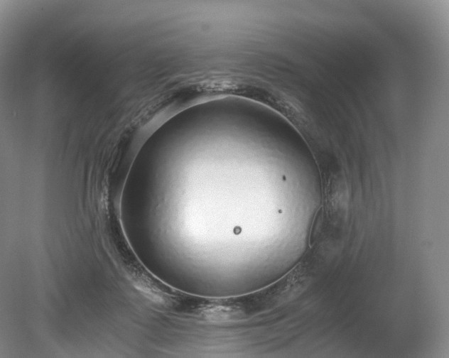 X0000078280315200611101140