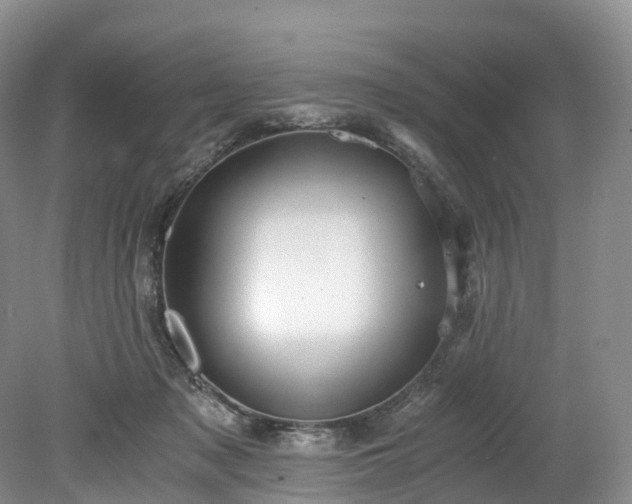 X0000078280317200611101140