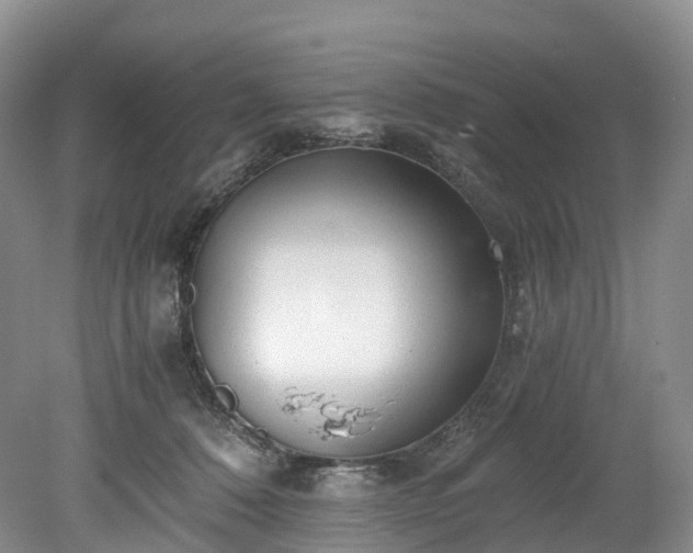 X0000078280320200611101140