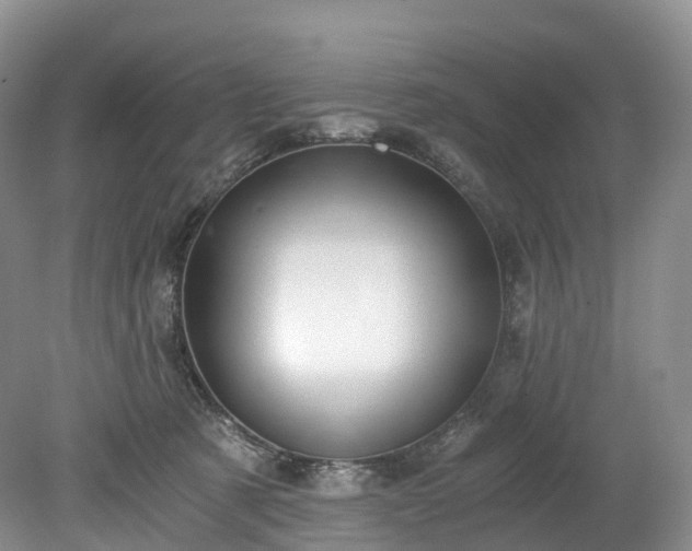 X0000078280321200611101140