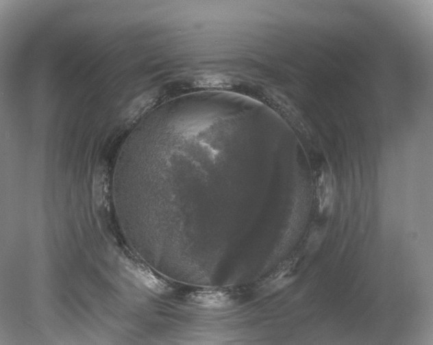 X0000078280322200611101140