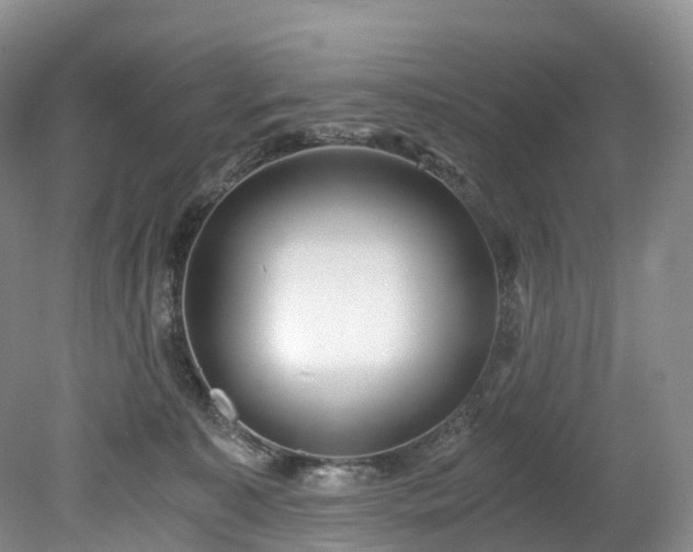 X0000078280323200611101140