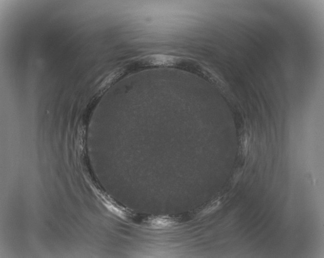 X0000078280325200611101140