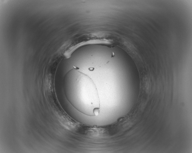 X0000078280328200611101140