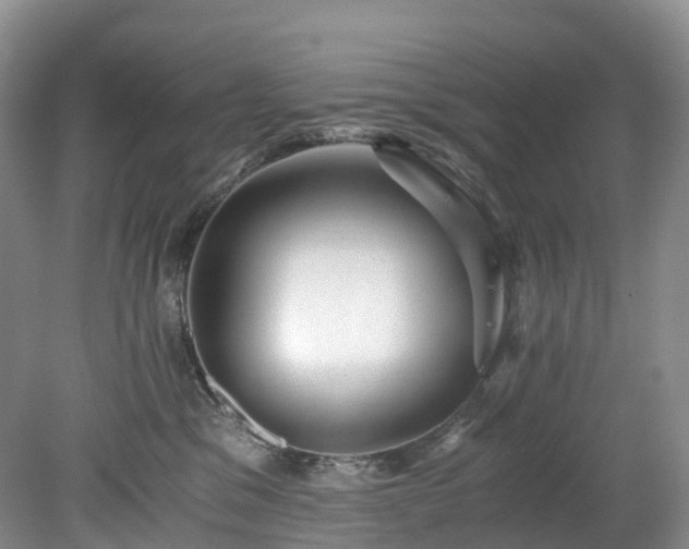 X0000078280329200611101140