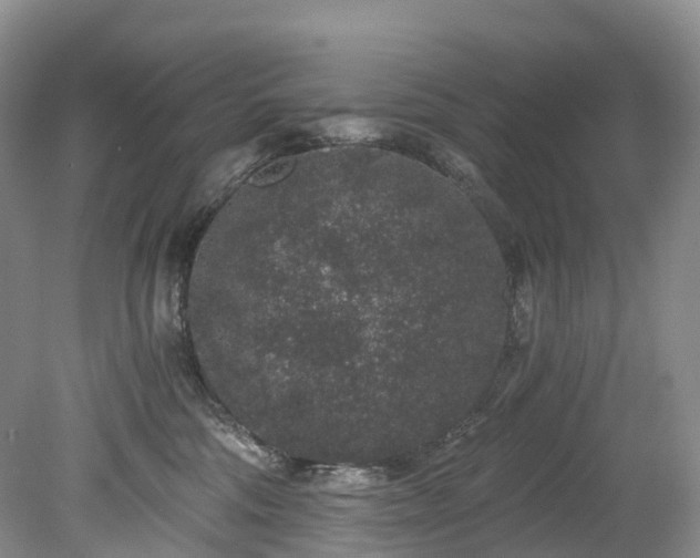 X0000078280330200611101140