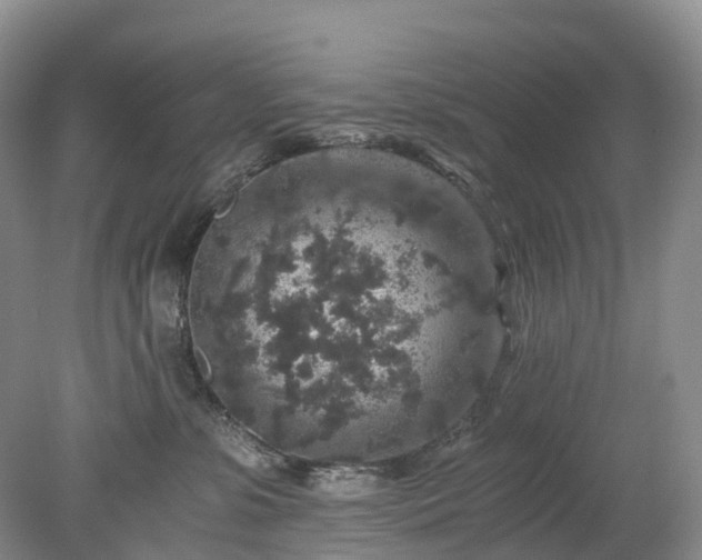 X0000078280331200611101140