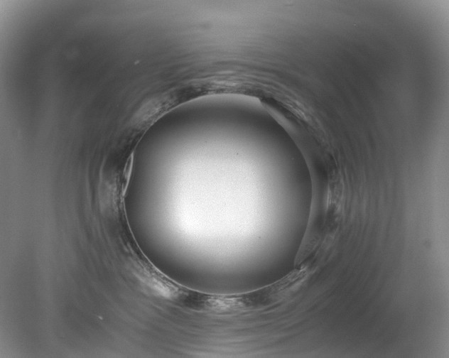 X0000078280333200611101140